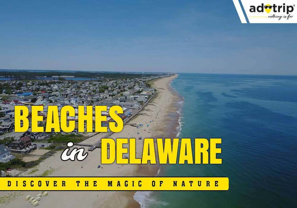 Beaches In Delaware